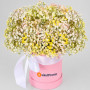 Композиция из 9 разноцветных гипсофил